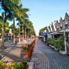 荷兰花卉小镇的#旅图换旅费#