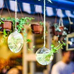 荷兰花卉小镇的#旅图换旅费#