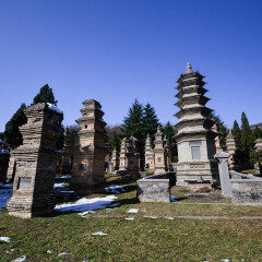 少林寺塔林的#旅图换旅费# #旅拍# #殿堂庙宇#