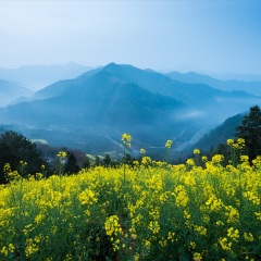 歙县