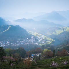 拙政园