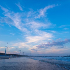 活动模块 