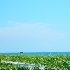 北海海滩公园的#旅图换旅费#