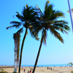 北海海滩公园的#旅图换旅费#