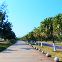 北海海滩公园的#旅图换旅费#