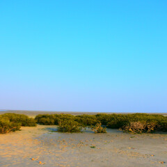 北海红树林的#旅图换旅费#