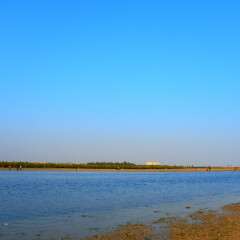 北海红树林的#旅图换旅费#