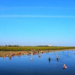 北海红树林的#旅图换旅费#