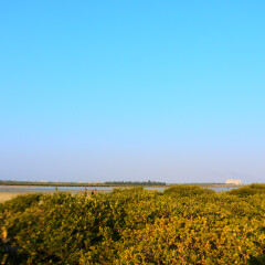 北海红树林的#旅图换旅费#