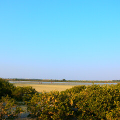 北海红树林的#旅图换旅费#