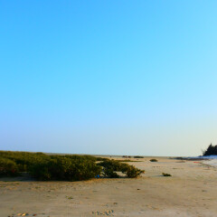 北海红树林的#旅图换旅费#