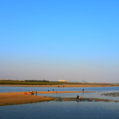 北海红树林的#旅图换旅费#