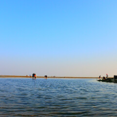 北海红树林的#旅图换旅费#