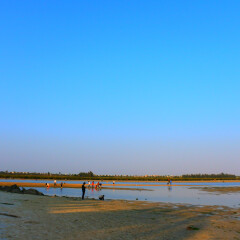 北海红树林的#旅图换旅费#