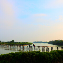 北海红树林的#旅图换旅费#