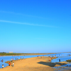 北海红树林的#旅图换旅费#