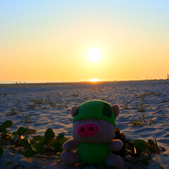 北海银滩的#旅图换旅费#