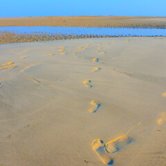 北海银滩的#旅图换旅费#