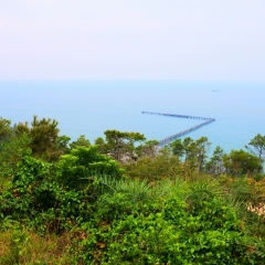 冠头岭的#旅图换旅费#