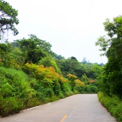 冠头岭的#旅图换旅费#