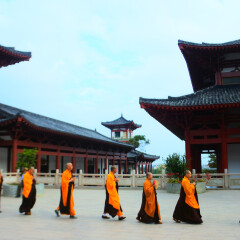 冠头岭的#旅图换旅费#