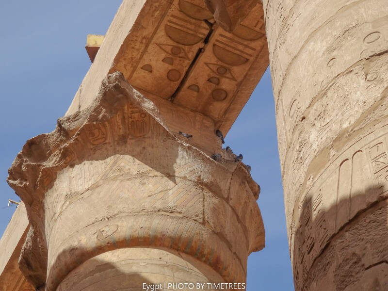 阿蒙神庙的石柱大厅(如图)最为著名,内有134根要6个人才能抱的巨柱,每