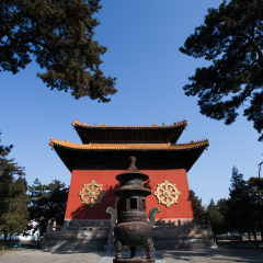 普陀宗乘之庙的#旅图换旅费#
