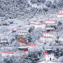 普陀宗乘之庙的#旅图换旅费#