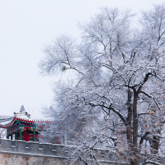 普陀宗乘之庙的#旅图换旅费#