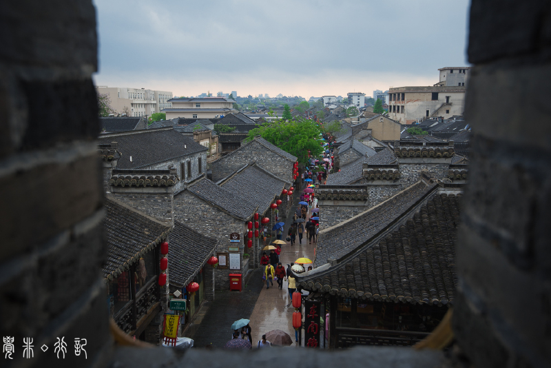 三月下扬州,淋一场烟雨,寻一场花事