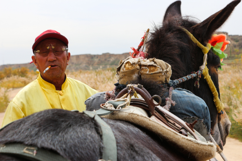 环游中国再走西北甘南宁夏额济纳旗一个人的狂奔
