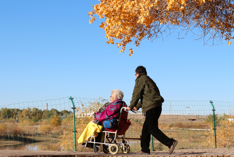环游中国再走西北甘南宁夏额济纳旗一个人的狂奔