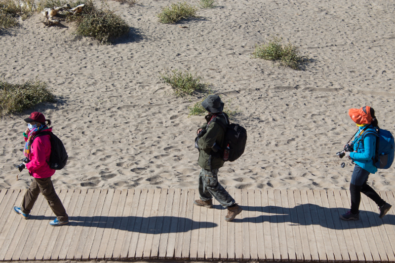 环游中国再走西北甘南宁夏额济纳旗一个人的狂奔