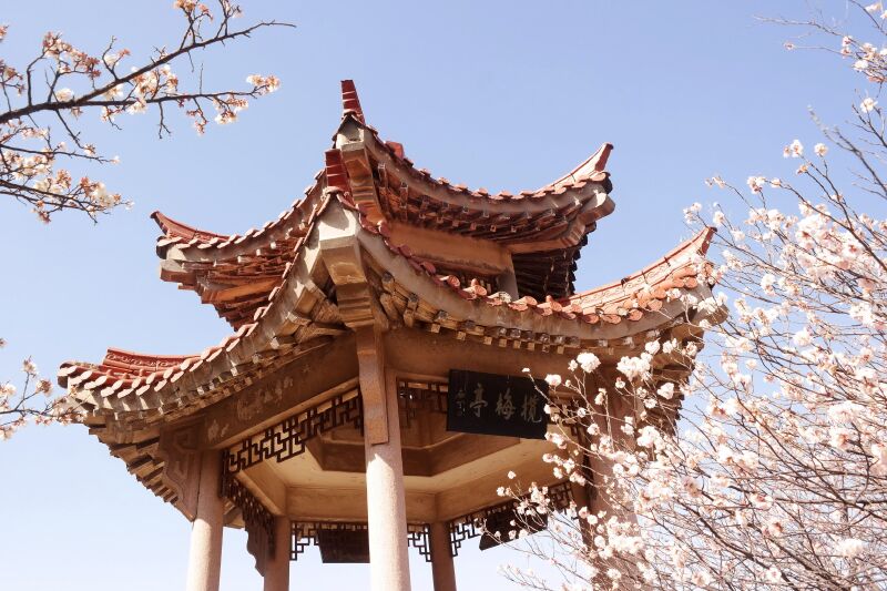 山花烂漫青岛十梅庵