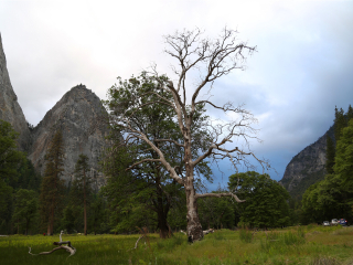 优胜美地国家公园