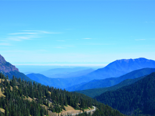 奥林匹克国家公园