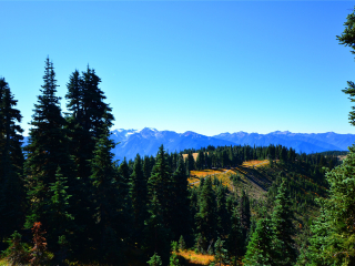 奥林匹克国家公园