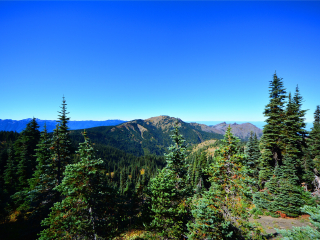 奥林匹克国家公园