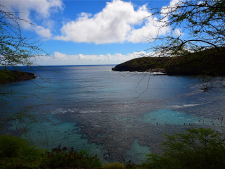 恐龙湾自然保护区