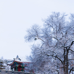 外八庙的#旅图换旅费#