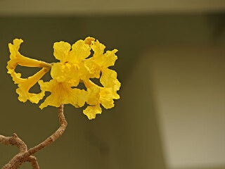 热带雨林自然保护区