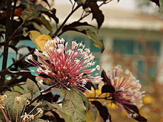 热带雨林自然保护区