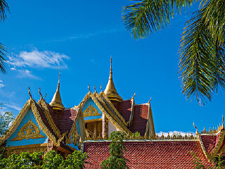 热带雨林自然保护区