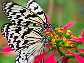 热带雨林自然保护区