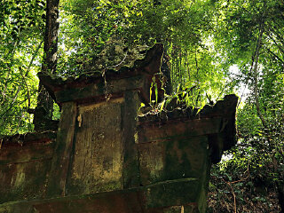 哀牢山茶马古道