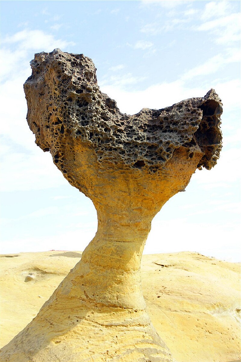 所以蕈状石是野柳最具代表性的地形景观.