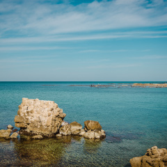 海水