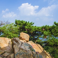 天山
