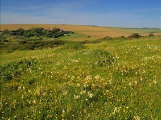 保康野花谷自然风景区