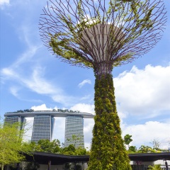 滨海湾花园